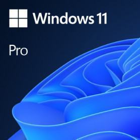 Microsoft Windows 11 Professionnel 64 bits Anglais - FQC-10528 (FQC-10528) - prix MAROC 
