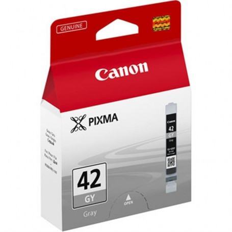 Cartouche Canon CLI-42 GY (6390B001AA) - prix MAROC 