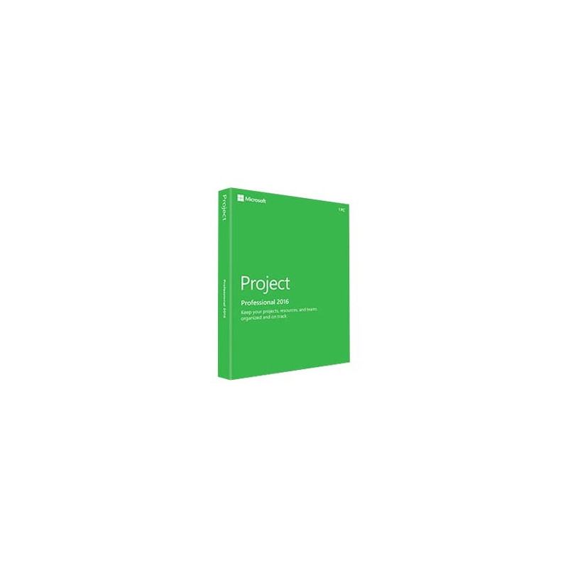 project 2013 32 bit