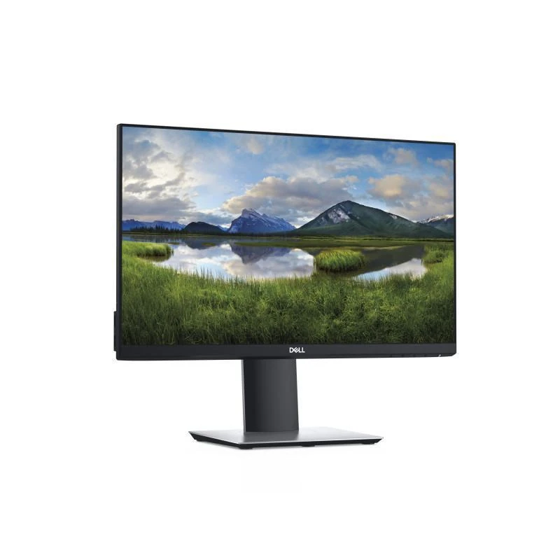 Ecran Dell P2219H Plat De PC 55