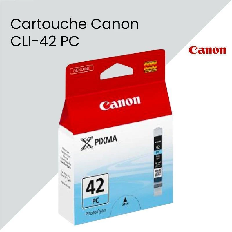 Cartouche Canon 6388B001AA CLI-42 PC - Linksolutions.ma