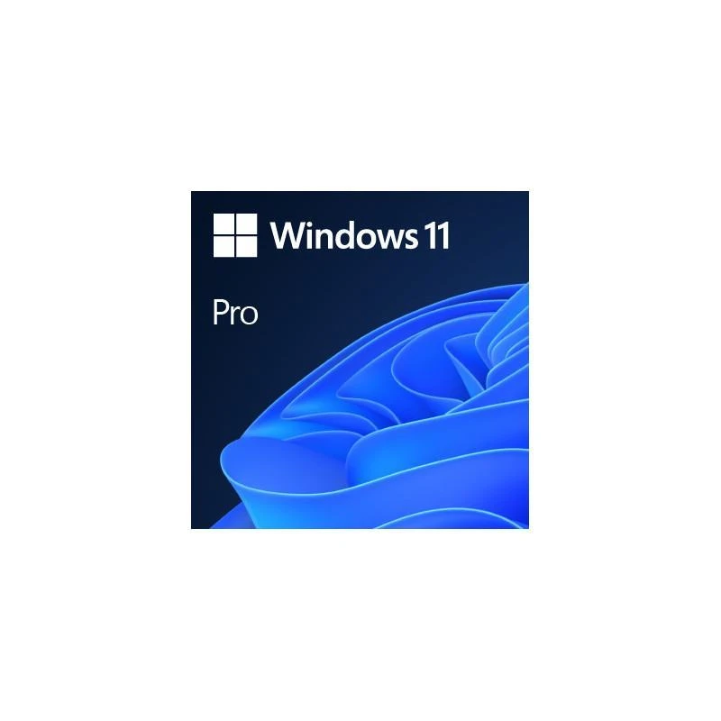 Microsoft Microsoft FQC-10528 Microsoftfessionnel 64 Bits Anglais - Linksolutions.ma