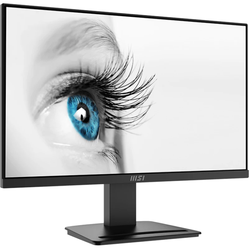 Ecran Msi Écran 23.8 Full HD Pro MP2412 (MSI_9S6-3BA9CH-042) - Linksolutions.ma