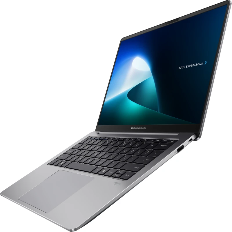 PC Portable Asus ExpertBook P5 P5405CSA-NZ0412X (90NX0861-M00J10)