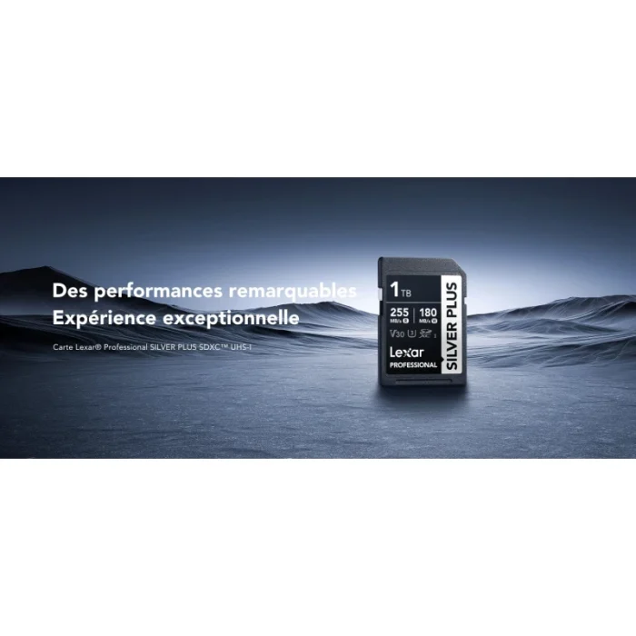 Carte mémoire SD LEXAR Silver Plus 256GB UHS-I 205MB/s (LSDSIPL256G-BNNNG) - Prix Maroc - Linksolutions