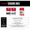 cartouche d'encre canon pg 510 noir original (2970b007ab)