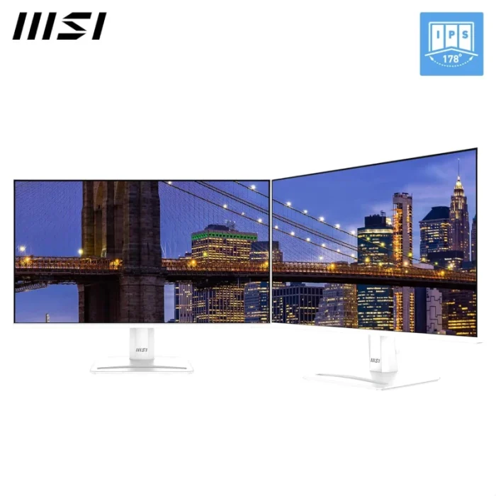 Écran MSI Pro MP251W E2 24.5&Prime; Full HD IPS 120Hz (9S6-3PD4CM-028) - Achat Maroc - Linksolutions