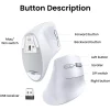 Souris Ugreen verticale Wireless MU008 Blanc (45759) - Prix moins cher - Linksolutions