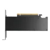 carte graphique pny nvidia rtx pro 2000 blackwell oem (vcnrtxpro2000)